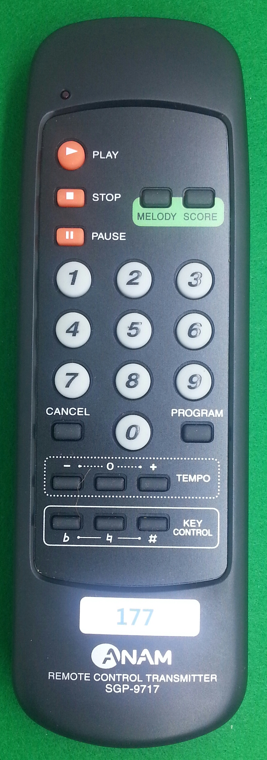 177_ANAM_SGP-9717_cover-0.jpg